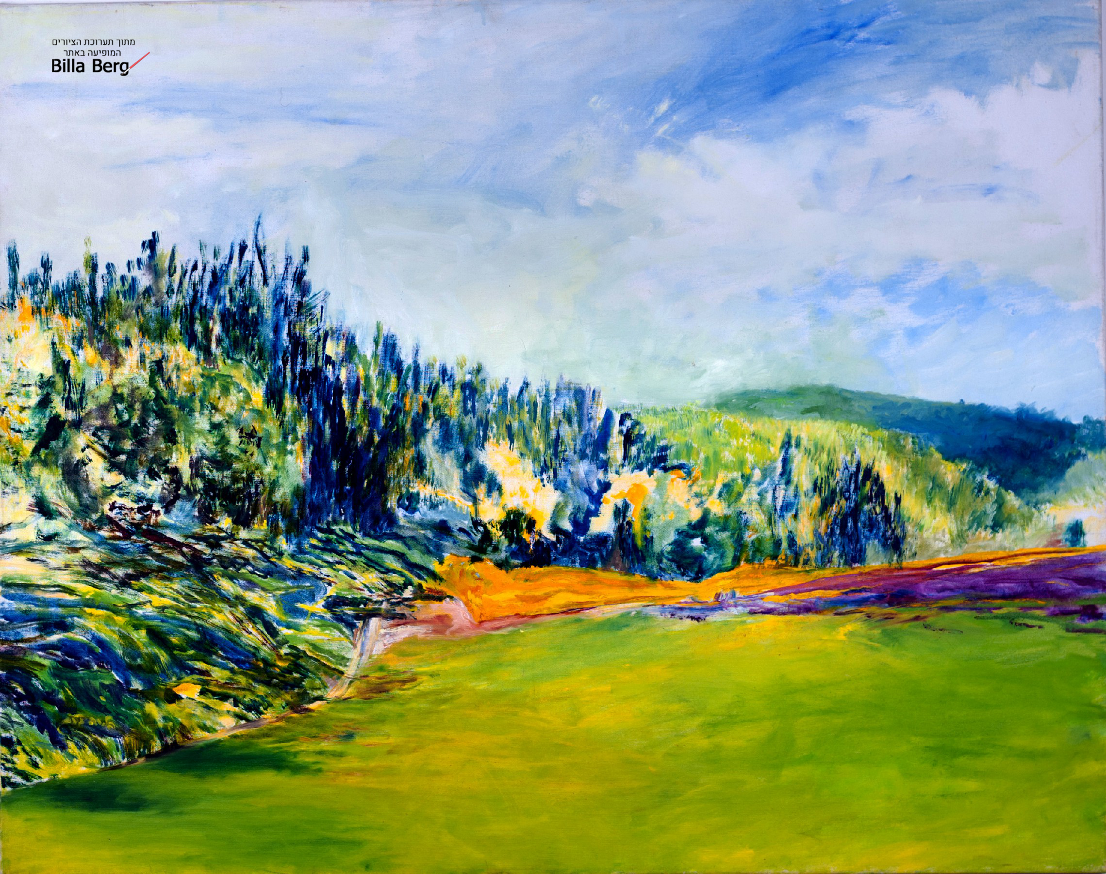 exhibition of Landscape Israeli artist bila berg