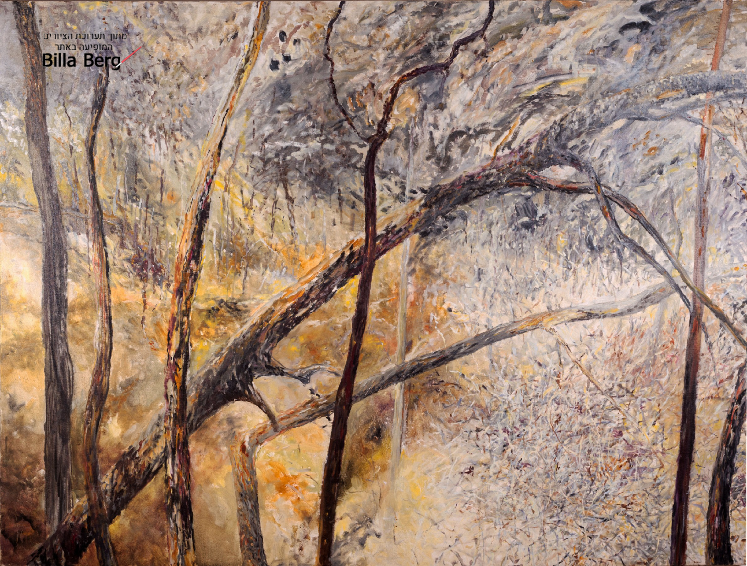 exhibition of Landscape Israeli artist bila berg