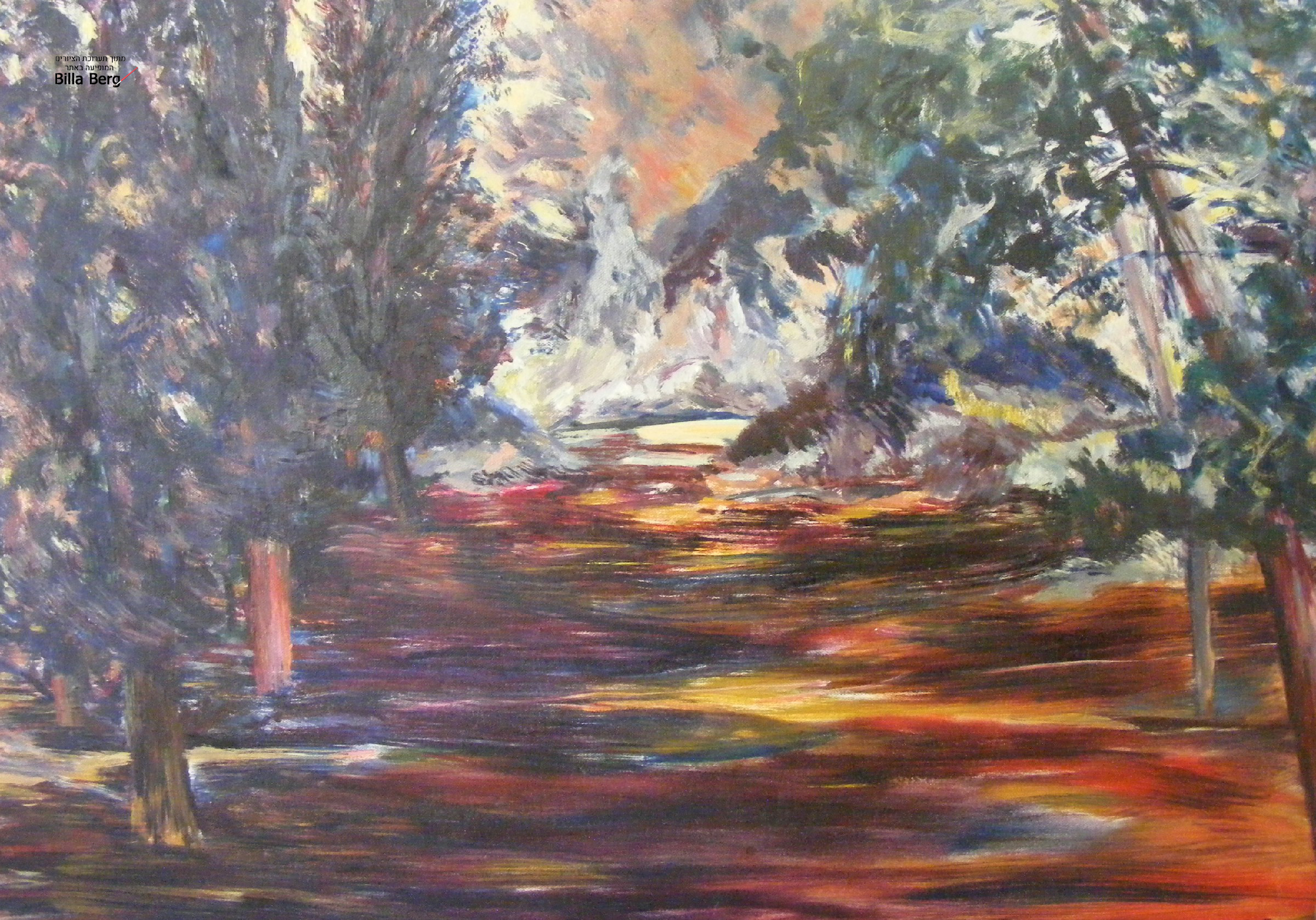Israeli artist bila berg