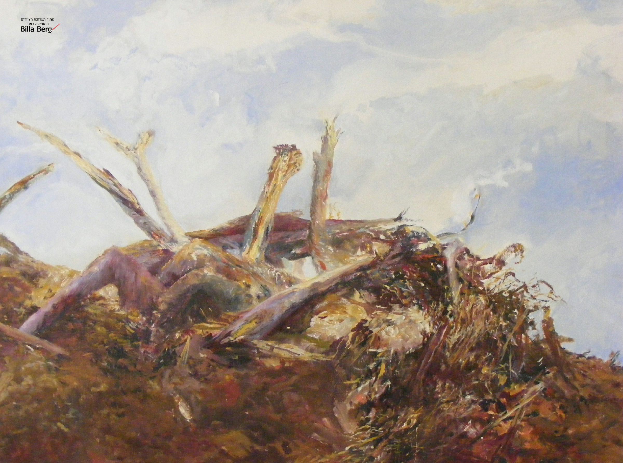 exhibition of Landscape Israeli artist bila berg