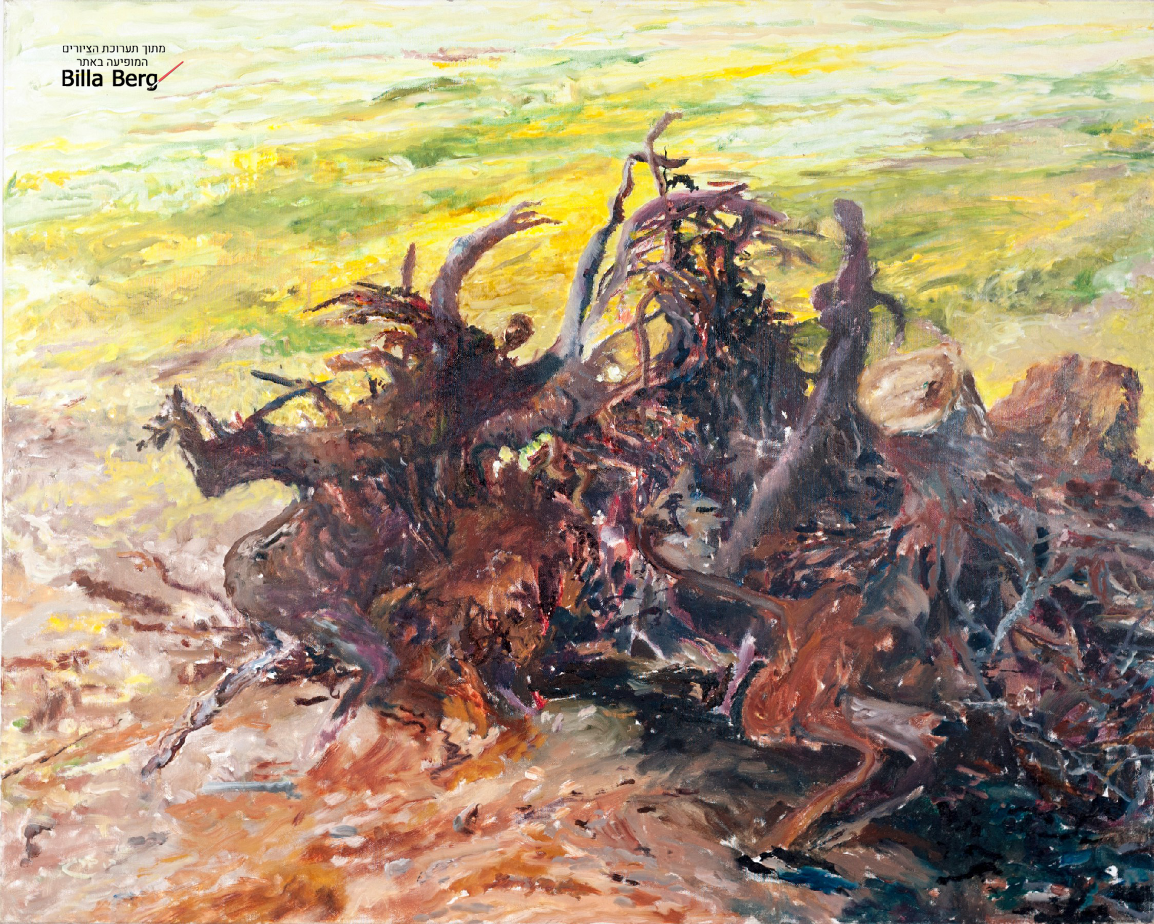 exhibition of Landscape Israeli artist bila berg