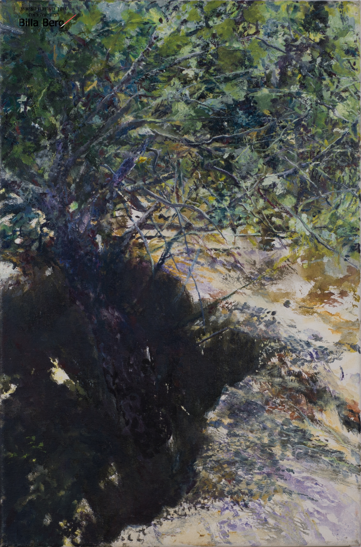 exhibition of Landscape Israeli artist bila berg