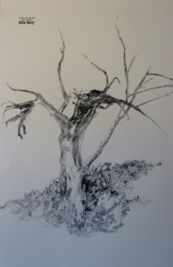 exhibition of drawing and etching Israeli artist bila berg